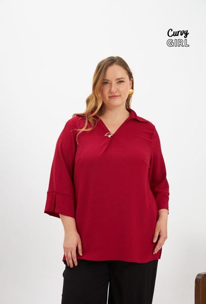 Picture of CURVY GIRL ELEGANT FINE QUALITY BLOUSE